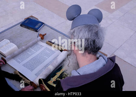 Ein religiöser Jude, der einen Mickey Mouse Ohrhut trägt, liest die Megilla oder die Rolle Esthers während des jüdischen Festivals von Purim in der Westmauer oder Kotel in der Altstadt von Ostjerusalem Israel Stockfoto