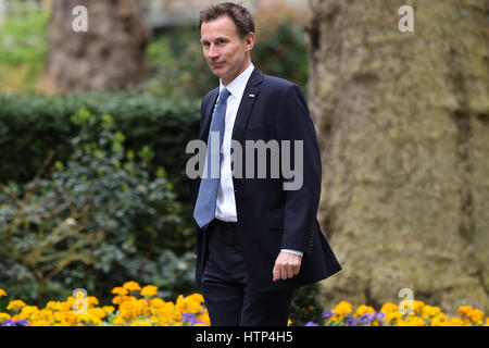 Downing Street, London, UK. 14. März 2017 - kommt Jeremy Hunt Secretary Of State for Health für die wöchentlichen Kabinettssitzung in Nummer 10 Downing Street. Bildnachweis: Dinendra Haria/Alamy Live-Nachrichten Stockfoto