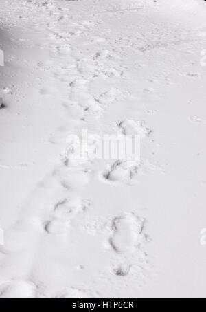 New York, USA. 14. März 2017. Teilweise überdacht Fußspuren im Schnee im Stadtteil Chelsea in New York auf Dienstag, 14. März 2017. Ursprünglich vorhergesagt wie ein Schneesturm mit bis zu 20 Zoll Schnee Sturm seinen Kurs geändert hat und nur 4 bis 6 Zoll von Regen, Schneeregen und Schnee zu erwarten sind, natürlich begleitet von heulenden Winde. (© Richard B. Levine) Bildnachweis: Richard Levine/Alamy Live-Nachrichten Stockfoto