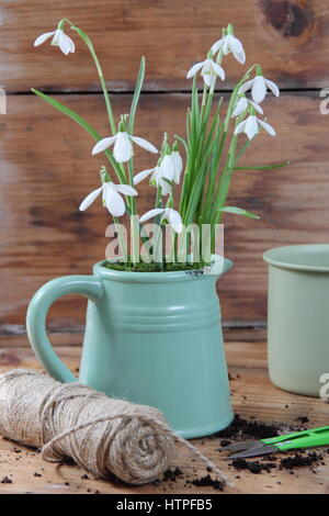 Dekorative Emaille Kanne mit Schneeglöckchen (Galanthus nivalis) für Innen Anzeige gepflanzt - auf einem Holztisch mit Garten Schere, String und Emaille Tasse Stockfoto