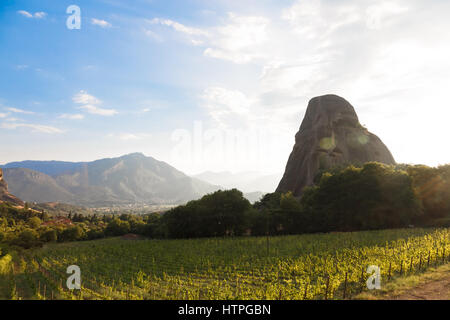 Einen wunderschönen Sonnenuntergang über Weinberg in Meteora, Griechenland. Stockfoto