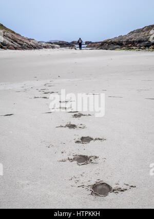 Fußspuren im weißen Sand in die Ferne führen mit einsamen Mann zu Fuß, die Insel Mull, Schottland, Großbritannien Stockfoto