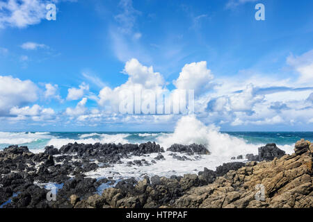 Schwerer See mit großen Wellen an Minnamurra, Illawarra Coast, New-South.Wales, NSW, Australien Stockfoto