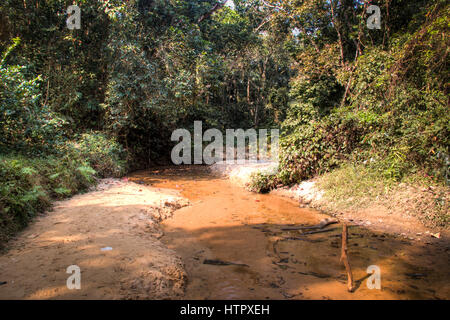 Der berühmte Lawacharra-Nationalpark in Srimangal im Unternehmensbereich Sylhet, Bangladesch Stockfoto