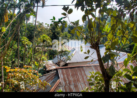 Dorf in der berühmten Lawacharra-Nationalpark in Srimangal im Unternehmensbereich Sylhet, Bangladesch Stockfoto