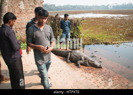 BAGERHAT, Bangladesch - Februar 2017: Menschen mit Krokodil neben dem großen See auf der Grab Moschee von Khan Jahan Ali in Bagerhatat den Rand der Su Stockfoto