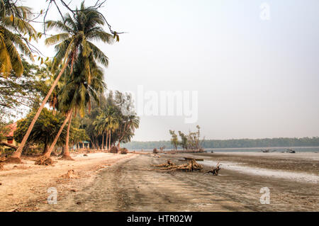 Strand in den Sundarbans Nationalpark, berühmt für seine Royal Bengal Tiger in Bangladesch Stockfoto