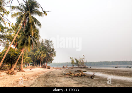 Strand in den Sundarbans Nationalpark, berühmt für seine Royal Bengal Tiger in Bangladesch Stockfoto