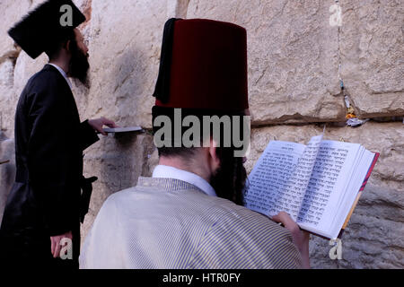 Ein Ultra orthodoxer Jude tragen eine traditionelle muslimische Tarbusch oder Fez Hut Kostüm beten während des jüdischen Festivals von Purim in der Klagemauer oder Kotel in der Altstadt Ost-Jerusalem Israel Stockfoto