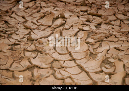 getrockneter Schlamm Stockfoto