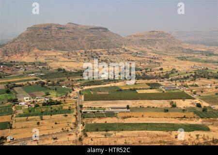 Reisfelder in Maharashtra (Indien) Stockfoto