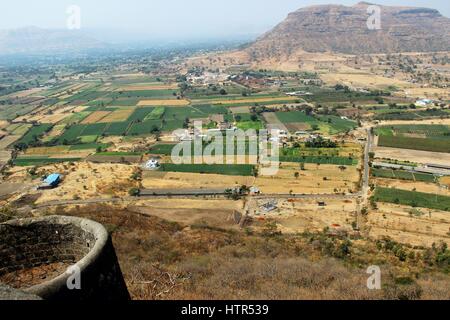 Reisfelder in Maharashtra (Indien) Stockfoto