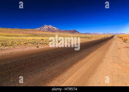 Salar de Talar in Antofagasta Region, Nord Chile Stockfoto