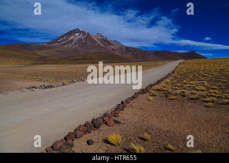 Miniques und Lagunen Miscanti in Antofagasta Region, Nord Chile Stockfoto