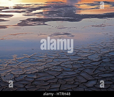 Trocken und rissig Schlamm Stockfoto