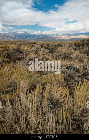 Lava und Salbei Landschaft am Krater des Moon National Monument und Preserve, Idaho, USA. Stockfoto