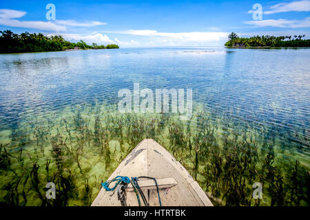 Das Seegrasbett kann von einem Boot aus gesehen werden, das auf dem Küstenwasser in der Nähe der Insel Marsegu, Kotania Bay, in der Nähe der Insel Seram in Maluku, Indonesien, segelt. Stockfoto