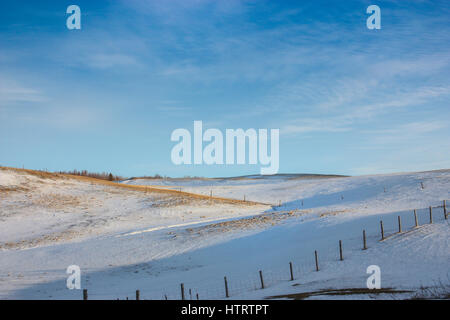 gelbes Feld mit Schnee drauf Stockfoto