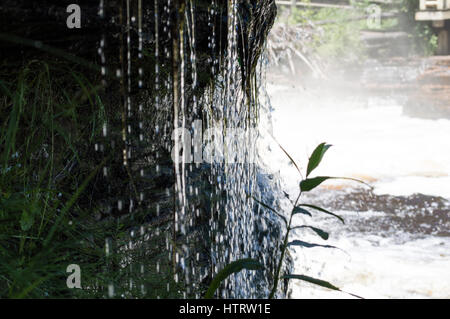 Tahquamenon Falls, Michigan Stockfoto