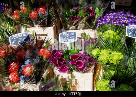 Bunte Vielfalt von Blumen auf dem Markt in London verkauft. Stockfoto