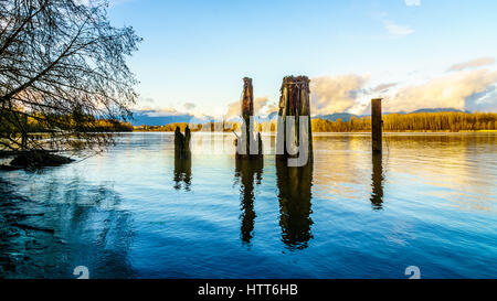 Sonnenuntergang über den Fraser River und der Coastal Mountains gesehen von der Insel Brae in Fort Langley in British Columbia, Kanada. Alte hölzerne Pfähle dienen Stockfoto