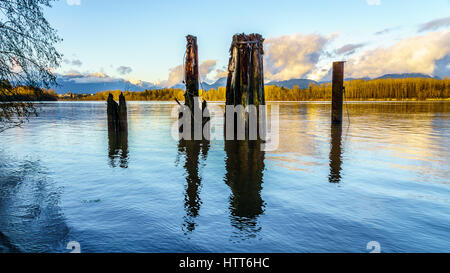 Sonnenuntergang über den Fraser River und der Coastal Mountains gesehen von der Insel Brae in Fort Langley in British Columbia, Kanada. Alte hölzerne Pfähle dienen Stockfoto