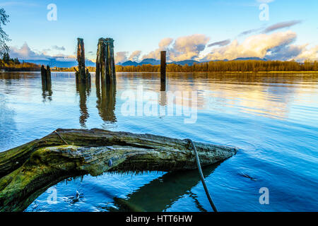 Sonnenuntergang über den Fraser River und der Coastal Mountains gesehen von der Insel Brae in Fort Langley in British Columbia, Kanada. Alte hölzerne Pfähle dienen Stockfoto