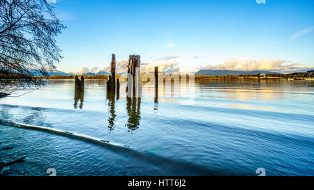 Sonnenuntergang über den Fraser River und der Coastal Mountains gesehen von der Insel Brae in Fort Langley in British Columbia, Kanada. Alte hölzerne Pfähle dienen Stockfoto