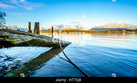 Sonnenuntergang über den Fraser River und der Coastal Mountains gesehen von der Insel Brae in Fort Langley in British Columbia, Kanada. Alte hölzerne Pfähle dienen Stockfoto