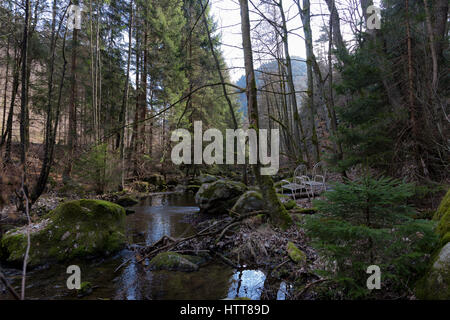 Ein Tal in den Harz-mauntains Stockfoto