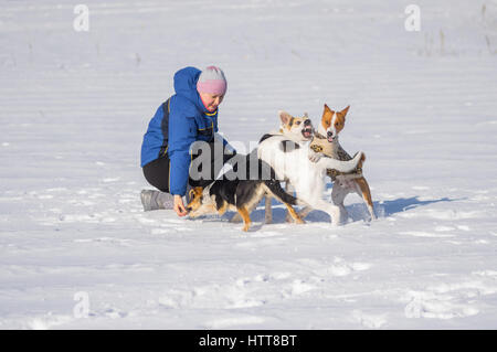 Reife Frau Fütterung drei hungrige Hunde beim Spielen im Freien im Wintersaison Stockfoto