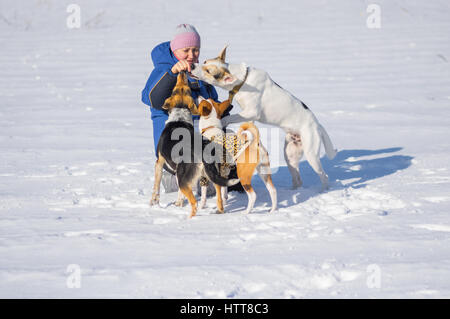 Reife Frau, die drei Hunde füttern, beim Spielen im Freien im Wintersaison Stockfoto