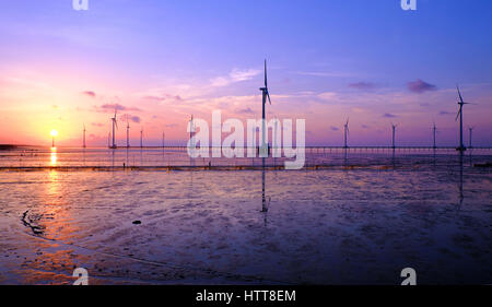 Gruppe Windturbinen Bac Lieu Windkraftanlage im Mekong-Delta, Vietnam. Windmühle am Morgen am Baclieu Meer, saubere Energie für Viet Nam-Industrie Stockfoto