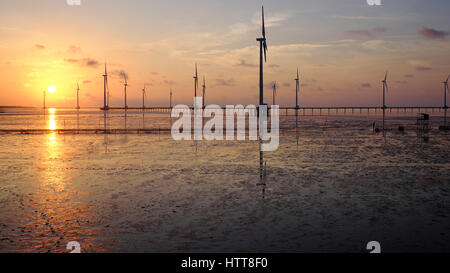 Gruppe Windturbinen Bac Lieu Windkraftanlage im Mekong-Delta, Vietnam. Windmühle am Morgen am Baclieu Meer, saubere Energie für Viet Nam-Industrie Stockfoto