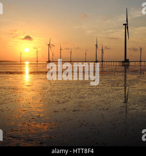 Gruppe Windturbinen Bac Lieu Windkraftanlage im Mekong-Delta, Vietnam. Windmühle am Morgen am Baclieu Meer, saubere Energie für Viet Nam-Industrie Stockfoto