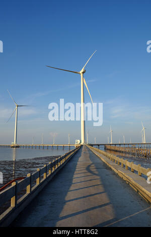 Gruppe Windturbinen Bac Lieu Windkraftanlage im Mekong-Delta, Vietnam. Windmühle am Morgen am Baclieu Meer, saubere Energie für Viet Nam-Industrie Stockfoto