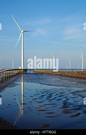 Gruppe Windturbinen Bac Lieu Windkraftanlage im Mekong-Delta, Vietnam. Windmühle am Morgen am Baclieu Meer, saubere Energie für Viet Nam-Industrie Stockfoto