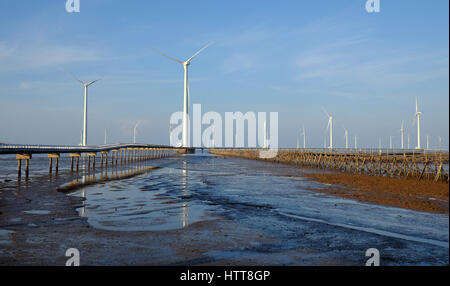 Gruppe Windturbinen Bac Lieu Windkraftanlage im Mekong-Delta, Vietnam. Windmühle am Morgen am Baclieu Meer, saubere Energie für Viet Nam-Industrie Stockfoto