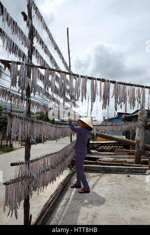 CAMAU, VIET NAM - JULY 16, 2016: Vietnamesische Frau trockenen Fisch und Meeresfrüchte zu Ca Mau Fischerdorf, Mekong-Delta. Getrockneter Fisch ist beliebtes Vietnam Nahrungsmittel Stockfoto