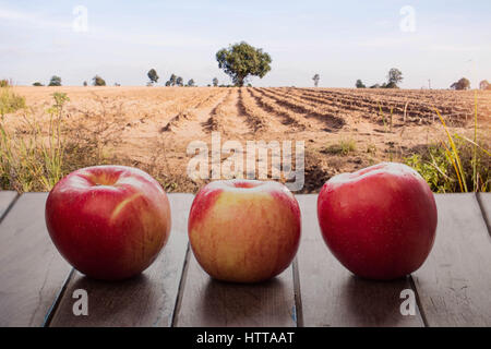 Äpfel frisch vom Hof auf dem Holzboden. Stockfoto