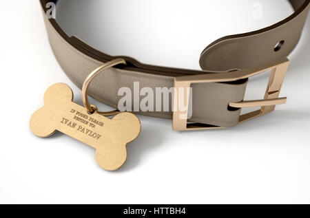 Ein Konzept Darstellung Pawlowsche Konditionierung Theorie ein Leder Hundehalsband und ein Knochen geformt Erkennungsmarke zeigt Besitz Ivan Pavlov - 3D r Stockfoto