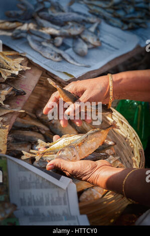 Goan Frau verkaufen Trockenfisch in Mapusa Markt, Hand-detail Stockfoto