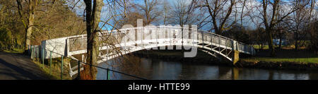Laurie Brücke, Fluß Teviot, Hawick, Scottish Borders Stockfoto