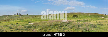 Panorama von der grünen Wiese vor dem Hintergrund der Wolken in Israel Stockfoto