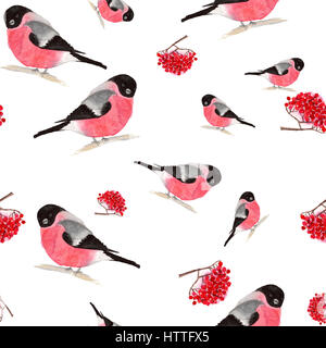 Aquarell Musterdesign mit Gimpel und Vogelbeere auf weißem Hintergrund Stockfoto