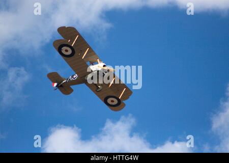 Sopwith 7F.1 jagen im Flug gegen blauen Himmel auf der Avalon Airshow, Australien, 2017. Stockfoto