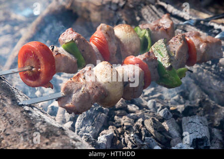 Saftige Scheiben von Fleisch mit Soße bereiten Sie in Brand. frische heiße Grillhähnchen Schaschlik Grill auf Raster über Holzkohle Stockfoto