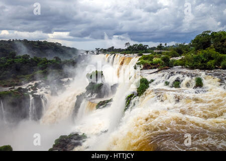 Iguazu falls National Park. tropischen Wasserfällen und Regenwald-Landschaft Stockfoto