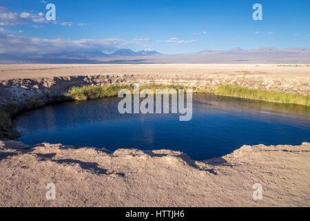 Ojos del salar Lagune Wahrzeichen in San Pedro de Atacama, Chile Stockfoto