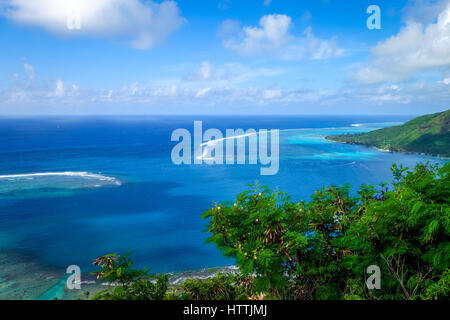 Luftaufnahme der Opunohu Bay und die Lagune auf der Insel Moorea. Französisch-Polynesien Stockfoto